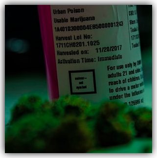 Drug Transportation Defense Attorney